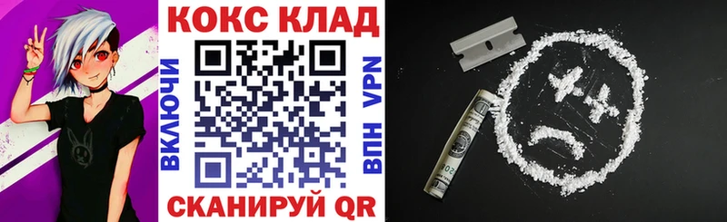 Купить закладки  Жиздра  COCAIN Fish Scale 