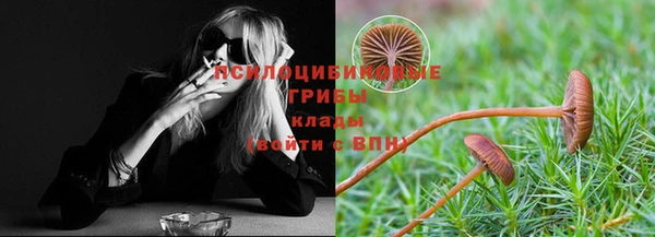 ECSTASY Ладушкин