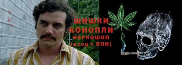 ECSTASY Ладушкин