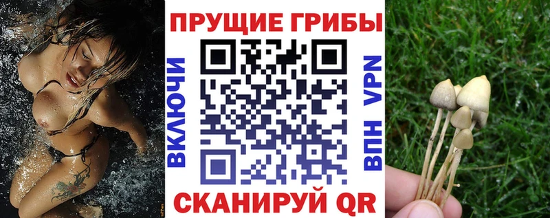 Галлюциногенные грибы ЛСД  Купить где  Жиздра 